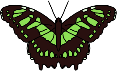 a malachite butterfly, dark brown with bright green markings.